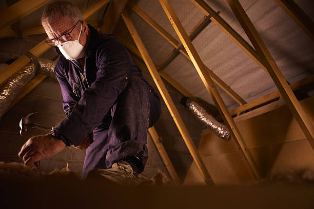 Types of Insulation We Offer in Alderton, WA